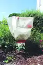 Bild 1 von Rosenschutzhauben schützt vor Kälte und Wind
