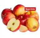 Bild 1 von Deutsche rote Äpfel*