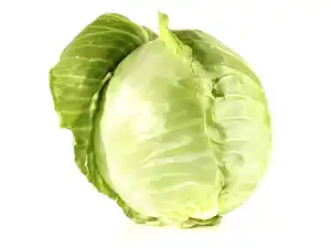 Weißkohl ganzer Kopf