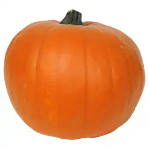 GARDENLINE Halloween Schnitzkürbis