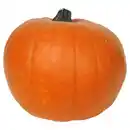 Bild 1 von GARDENLINE Halloween Schnitzkürbis