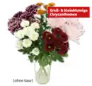 Bild 1 von Chrysanthemen „Santini Festival“*