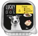 Bild 1 von LUCKY DOG Schalenmenü Pastete oder Ragout*