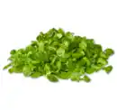 Bild 1 von Feldsalat*