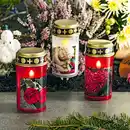 Bild 1 von Flower Power / I-Glow LED-Grablicht mit Dorn