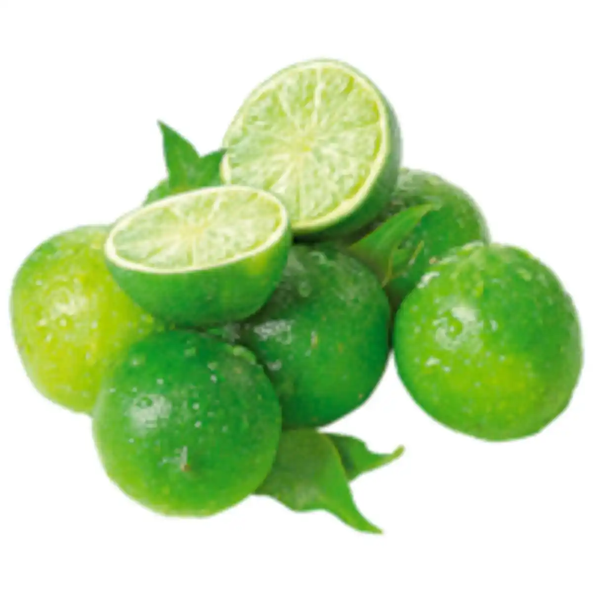 Bild 1 von Bio Limette
