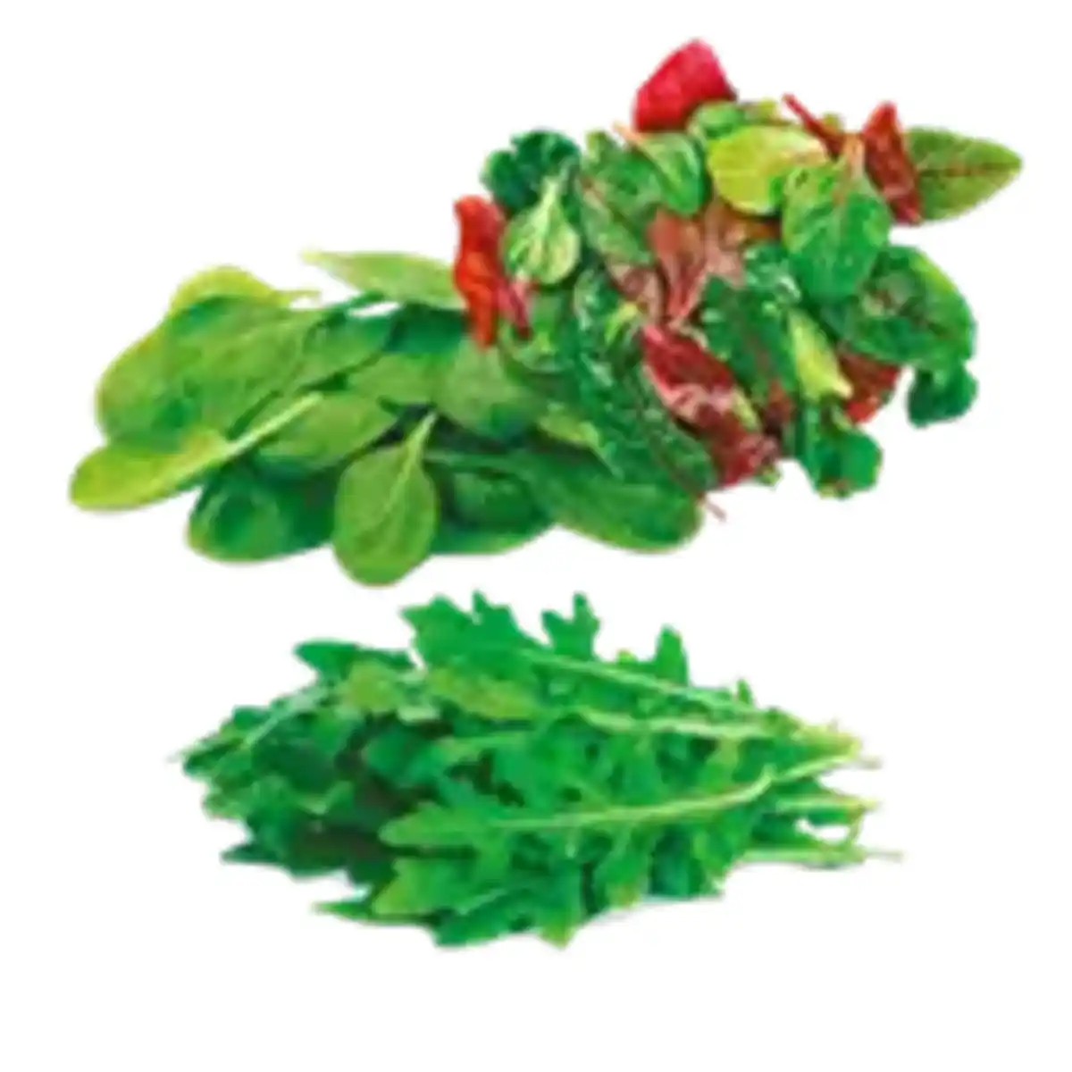 Bild 1 von Italienische Salate im Sortiment