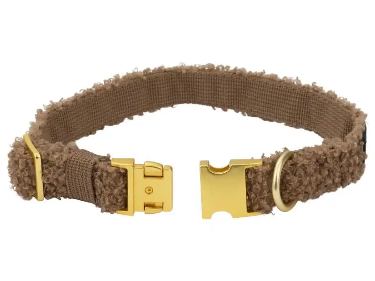 Bild 2 von MAX & MILA'S WORLD Hundehalsband / Hundeleine im Teddy-Design
