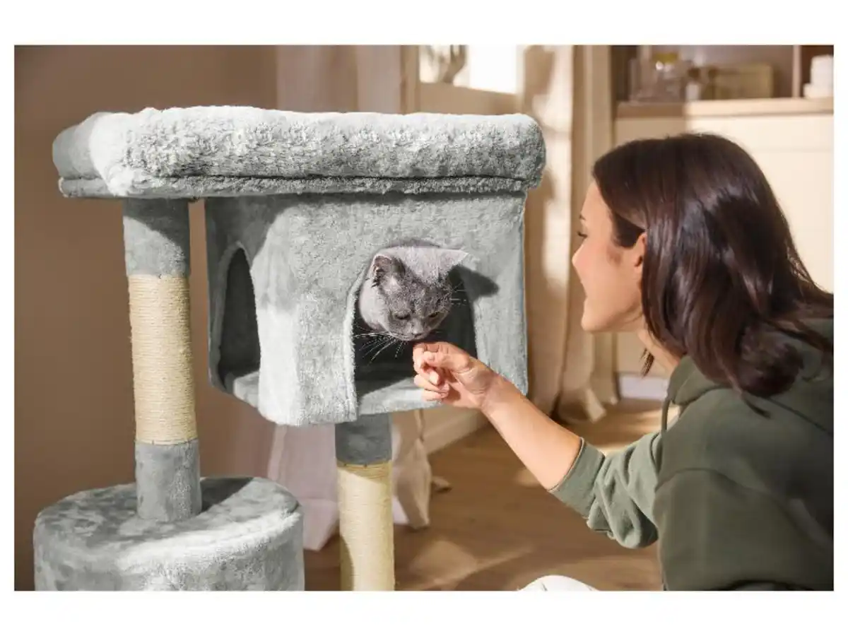 Bild 1 von MAX & MILA'S WORLD Katzen-Kratzbaum
