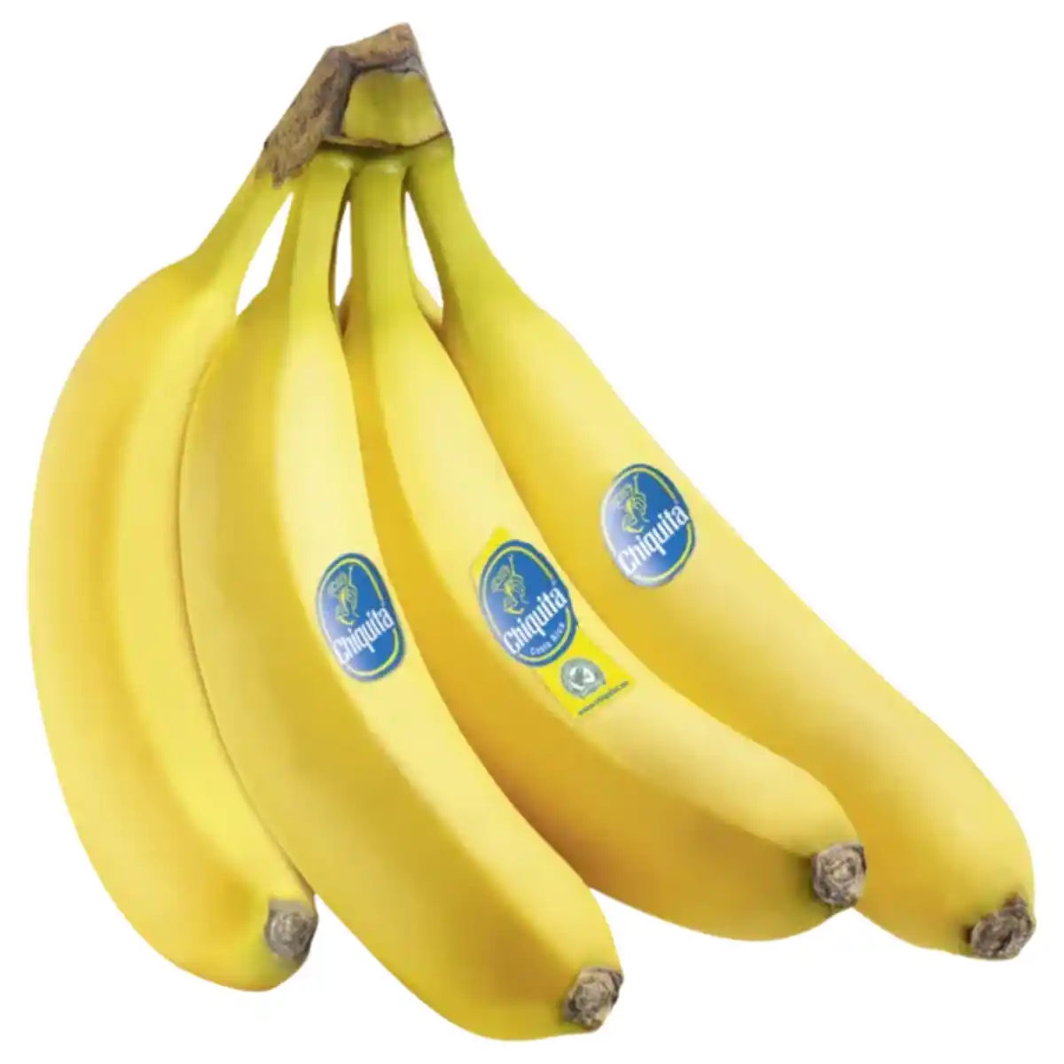 Bild 1 von Costa Rica Chiquita Bananen
