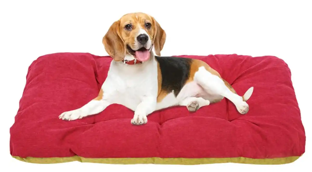 Bild 1 von Hundekissen ca. 120 x 80 x 8 cm