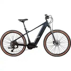 Zündapp E-Bike MTB X900 Pro 29 Zoll 10-Gang 733 Wh arctic fire schwarz