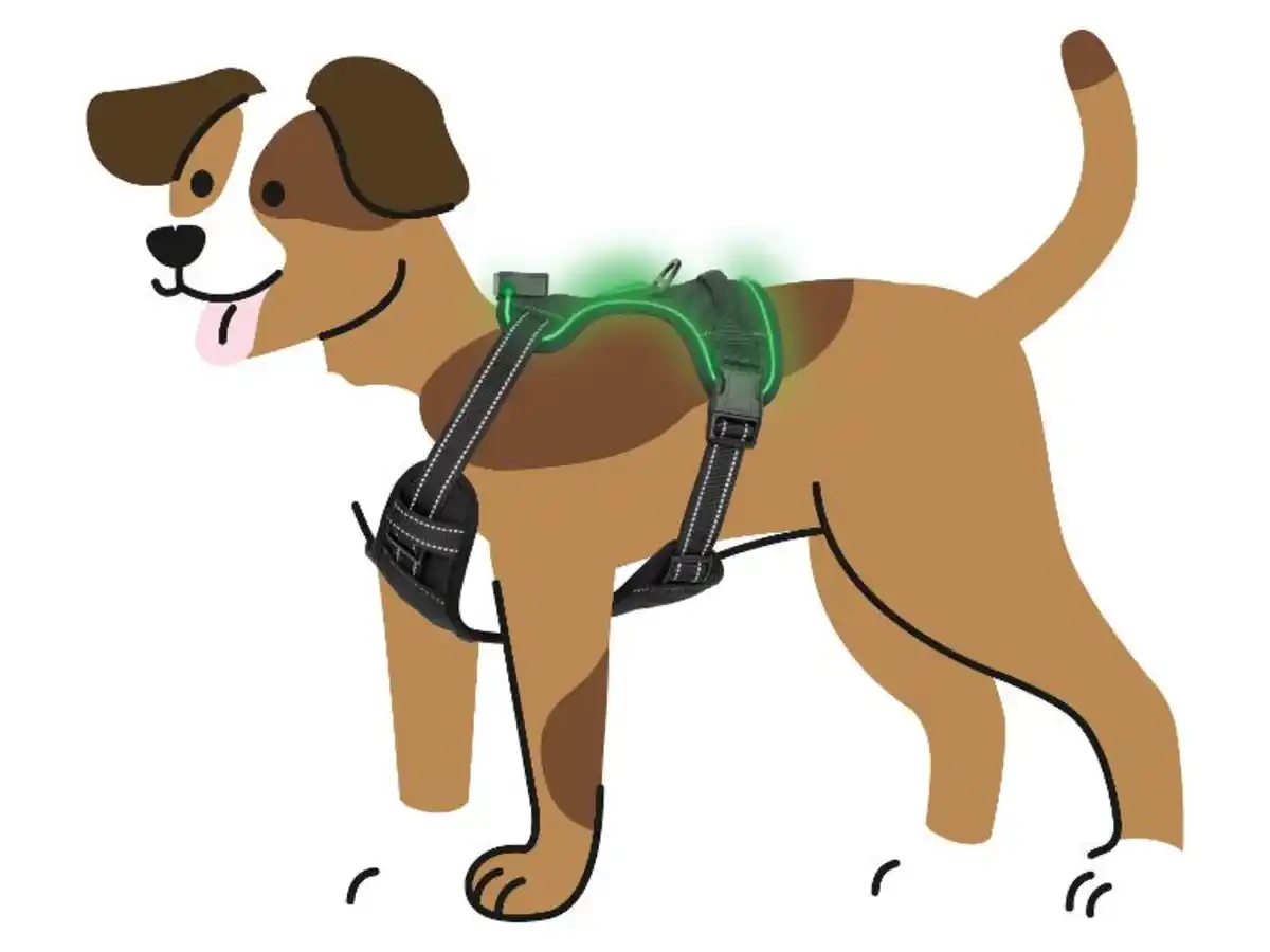 Bild 2 von MAX & MILA'S WORLD Hundegeschirr mit LED