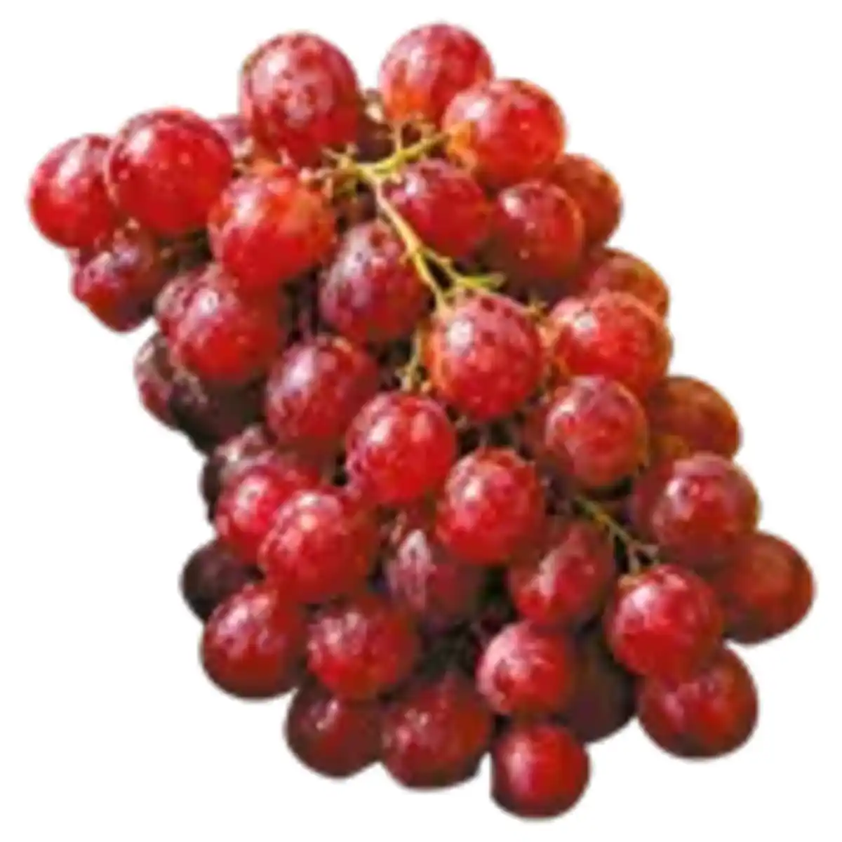 Bild 1 von Trauben rot