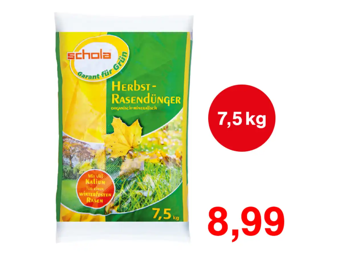 Bild 1 von Herbst Rasendünger