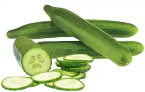 Salatgurke
