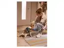Bild 2 von ZOOFARI® Hundegeschirr