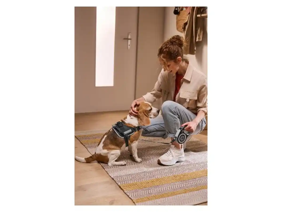 Bild 2 von ZOOFARI® Hundegeschirr