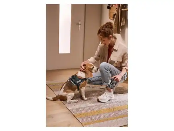 Bild 2 von ZOOFARI® Hundegeschirr