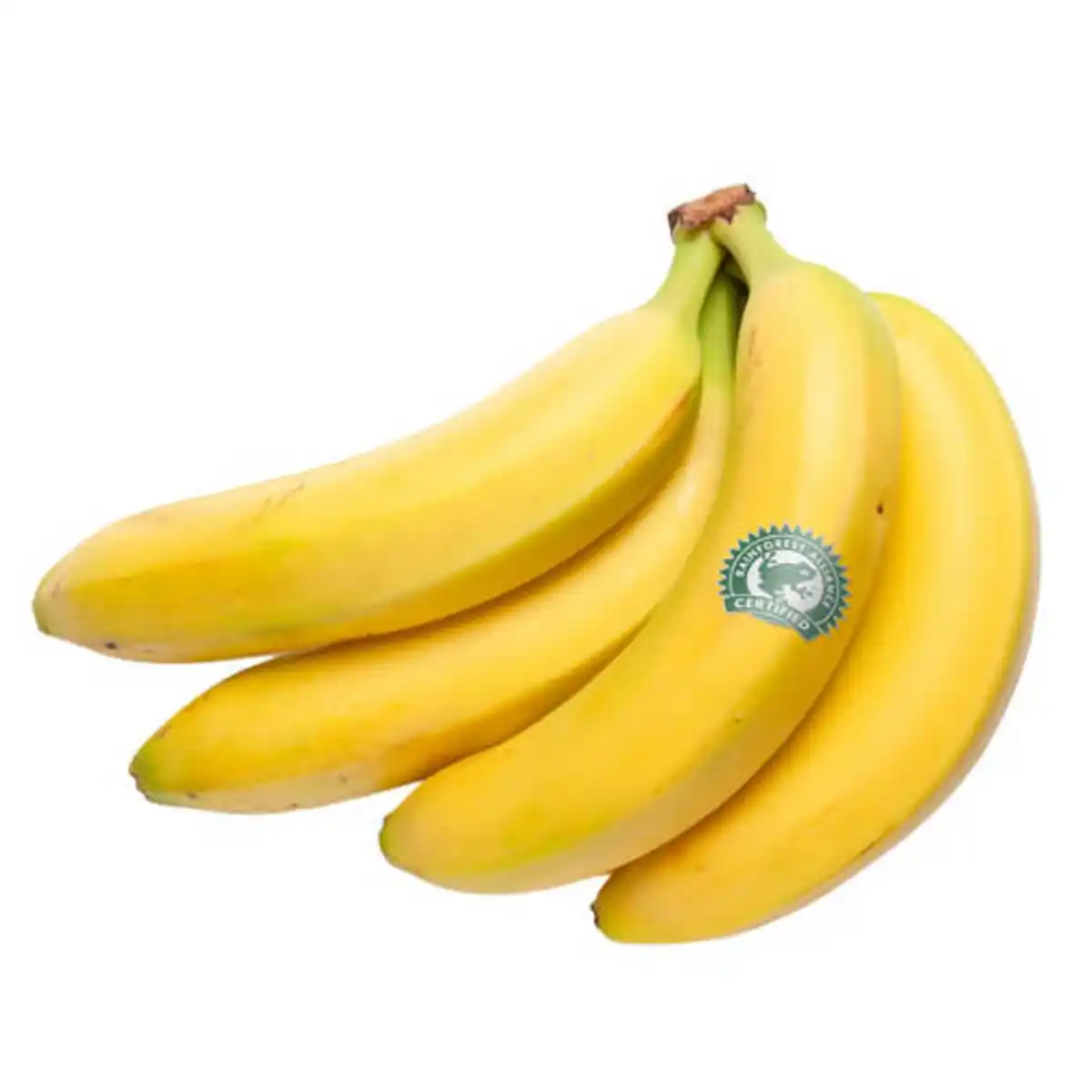 Bild 1 von Bananen