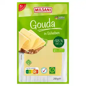 HOFBURGER Gouda jung 250 g