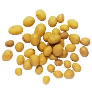 KLEINE SCHÄTZE Drillinge 1 kg