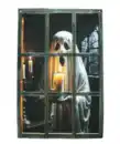 Bild 1 von Fenster-Vorhang mit Gruselmotiv