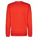Bild 3 von Fjällräven 1960 LOGO BADGE SWEATER M Herren - Sweatshirt