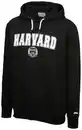 Bild 1 von U.S. COLLEGE Herren-Sweathoodie