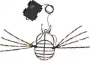 Bild 1 von LED-Halloween-Deko »Spinne«