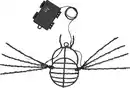Bild 2 von LED-Halloween-Deko »Spinne«