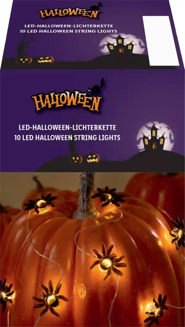 Bild 2 von LED-Lichterkette »Spinne«