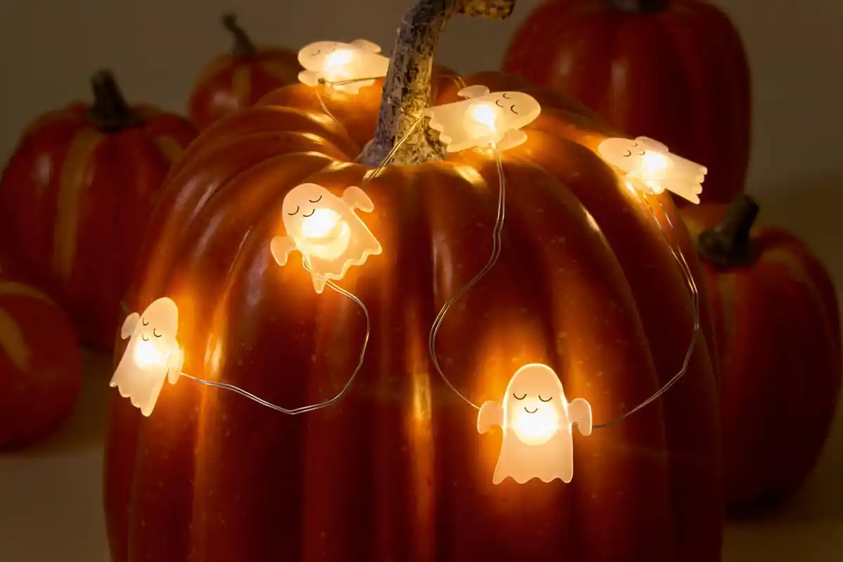 Bild 3 von LED-Lichterkette »Geist«