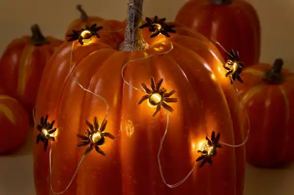 Bild 3 von LED-Lichterkette »Spinne«