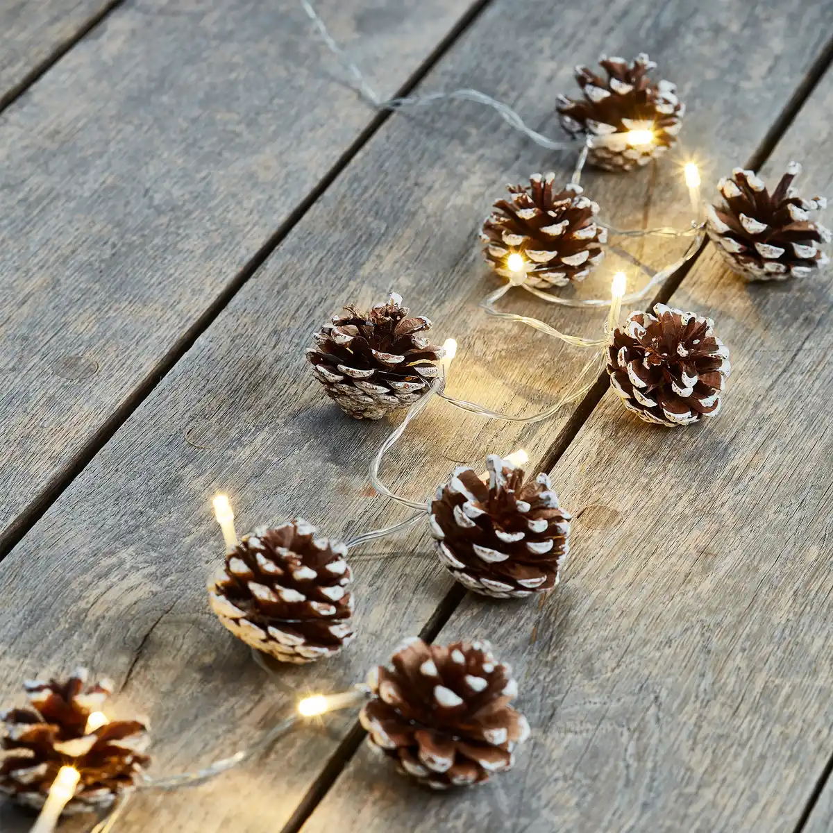 Bild 1 von LED-Lichterkette Tannenzapfen mit Timerfunktion, ca. 140 cm