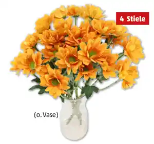 Chrysanthemen*