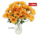 Bild 1 von Chrysanthemen*