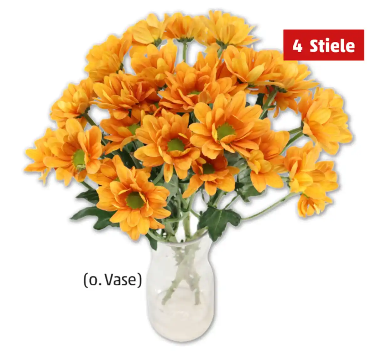 Bild 1 von Chrysanthemen*