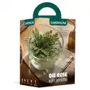 Bild 1 von GARDENLINE Rose von Jericho