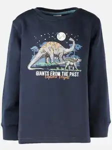 Jungen Sweatshirt mit Dino Blau