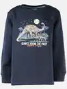 Bild 1 von Jungen Sweatshirt mit Dino Blau