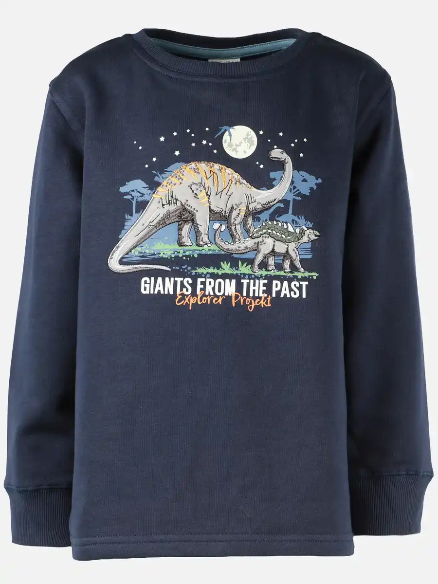 Bild 1 von Jungen Sweatshirt mit Dino Blau