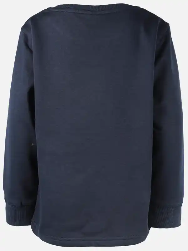 Bild 2 von Jungen Sweatshirt mit Dino Blau