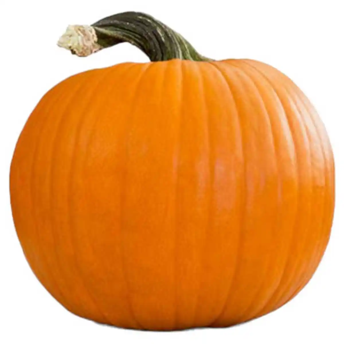 Bild 1 von GARDENLINE Halloween-Schnitzkürbis