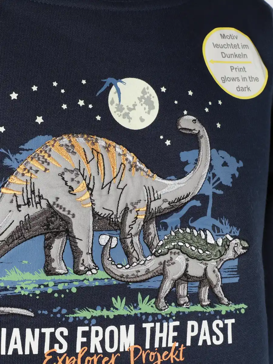 Bild 3 von Jungen Sweatshirt mit Dino Blau