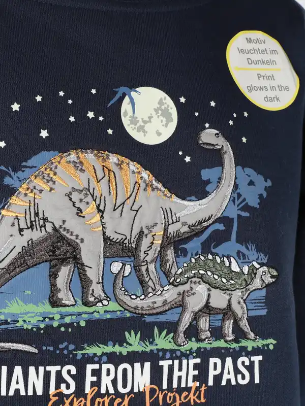 Bild 3 von Jungen Sweatshirt mit Dino Blau