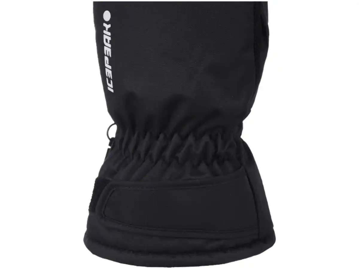 Bild 2 von ICEPEAK Ski-Handschuhe »HAINICHEN« unisex
