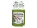 Bild 2 von YANKEE CANDLE Duftkerze Pepperberry Pine | Glas 538g