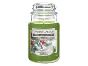 YANKEE CANDLE Duftkerze Pepperberry Pine | Glas 538g
