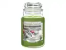 Bild 1 von YANKEE CANDLE Duftkerze Pepperberry Pine | Glas 538g